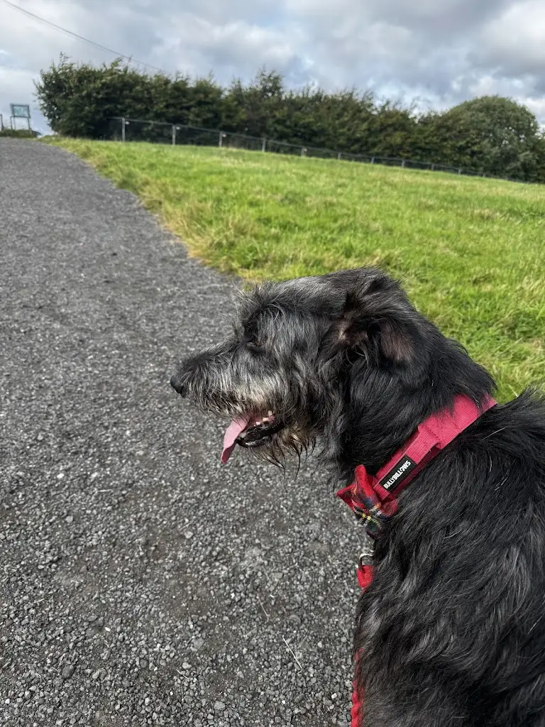 Drew’s Reviews_The Aizle_Balfron_review