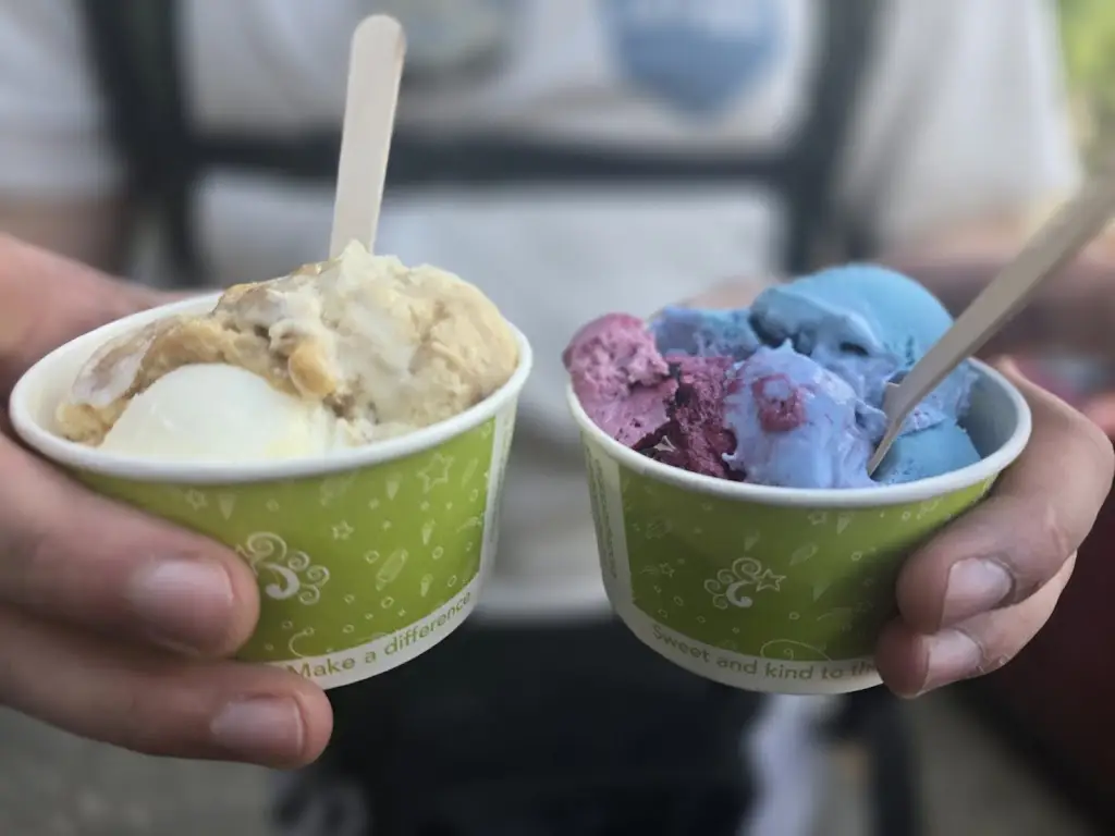 Marta Kozicka_Skoosh_Balfron_review