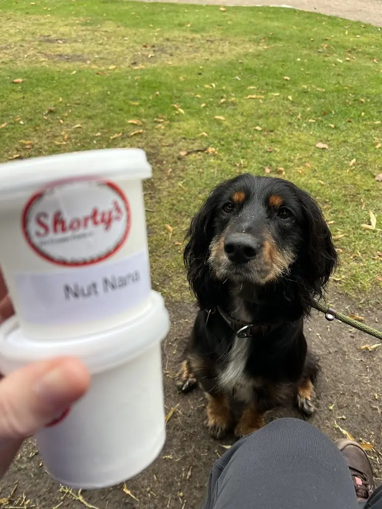 Katy Haylett_Shorty’s Of Ballater_Ballater_recensione