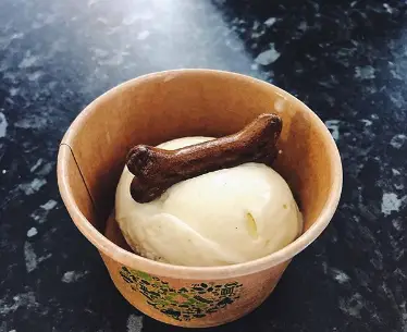 Julia Bryce_Shorty’s Of Ballater_Ballater_recensione