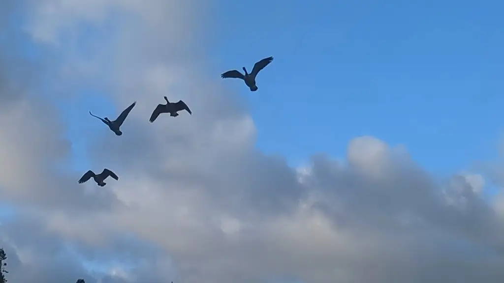 Granville Baines_Glenaden Hotel_Ballater_review