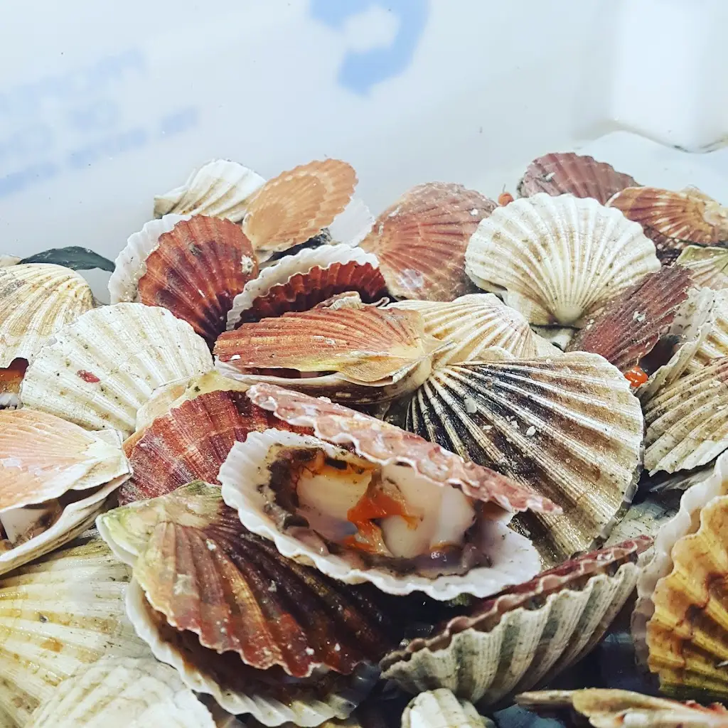 Menu_Scarecrow Bar & Grill_Banknock_image_9