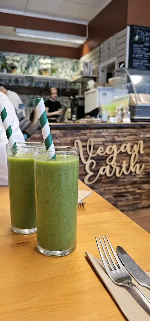 Benjamin Rawson_Vegan Earth_Ayr_review