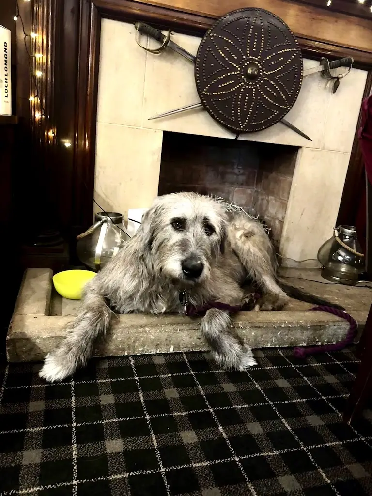 Drew’s Reviews_Savoy Park_Ayr_review