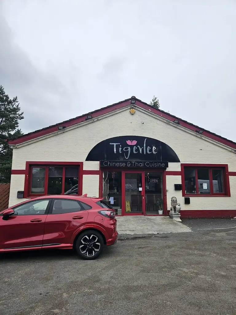 craig patrick_Tiger Lee_Bargeddie_review