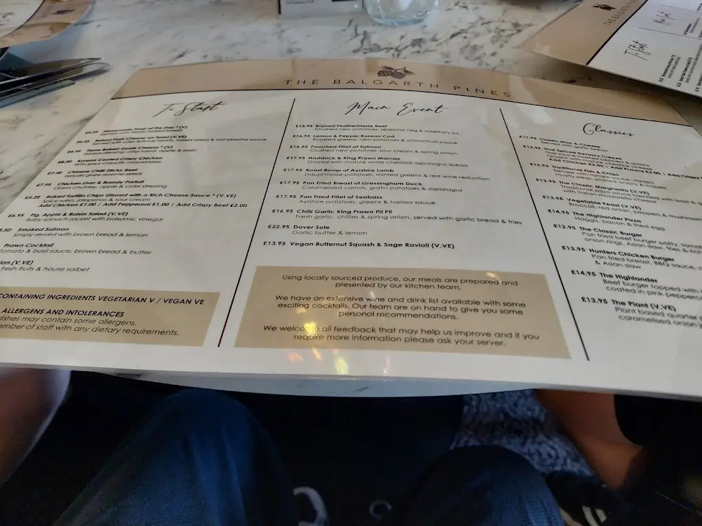 Menu_The Balgarth Pines Bar & Restaurant_Bellsbank_image_3