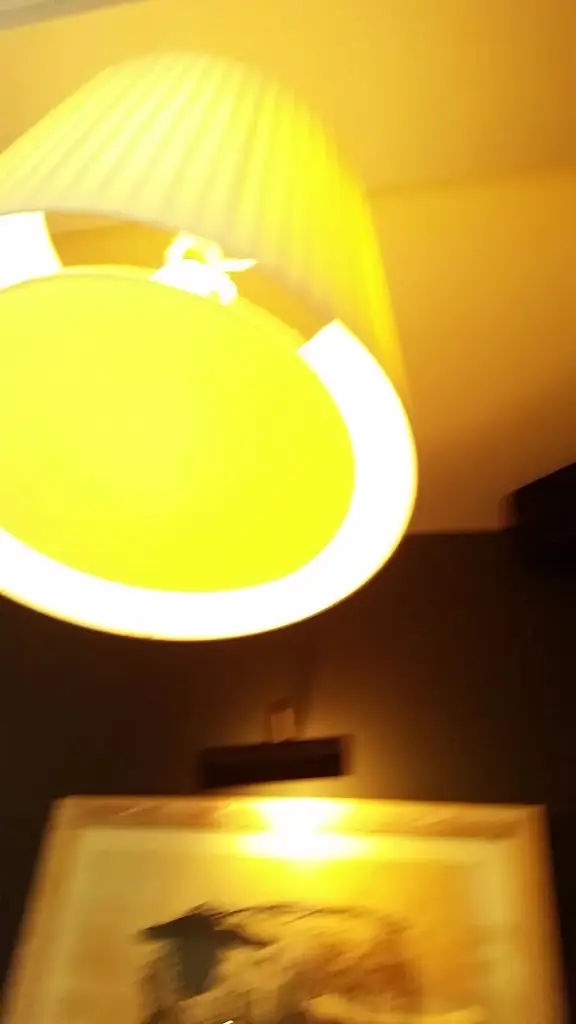 Bumble Bee_Blackwood_slider_image_2