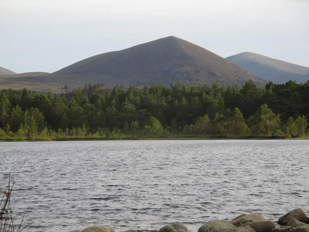 Early Years Consultancy_Rowan Tree Country Hotel & Restaurant_Aviemore_recensione