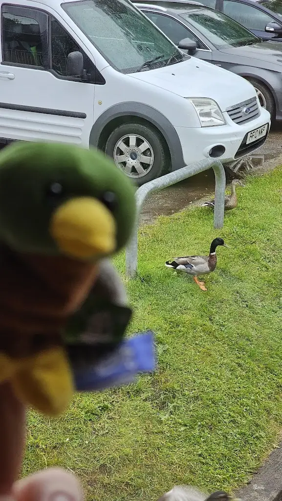 Lebi JM_The Boathouse Restaurant Loch Insh_Aviemore_review