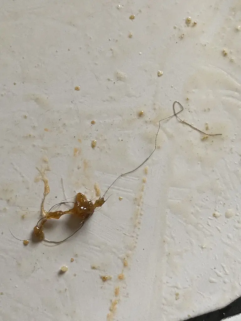 E 23_Galaxy Noodle Bar_Aviemore_review