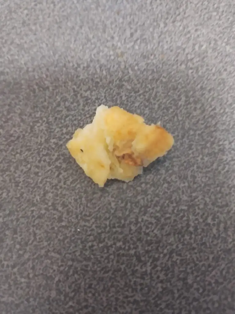 Layton_Dougies Chippy_Bannockburn_review