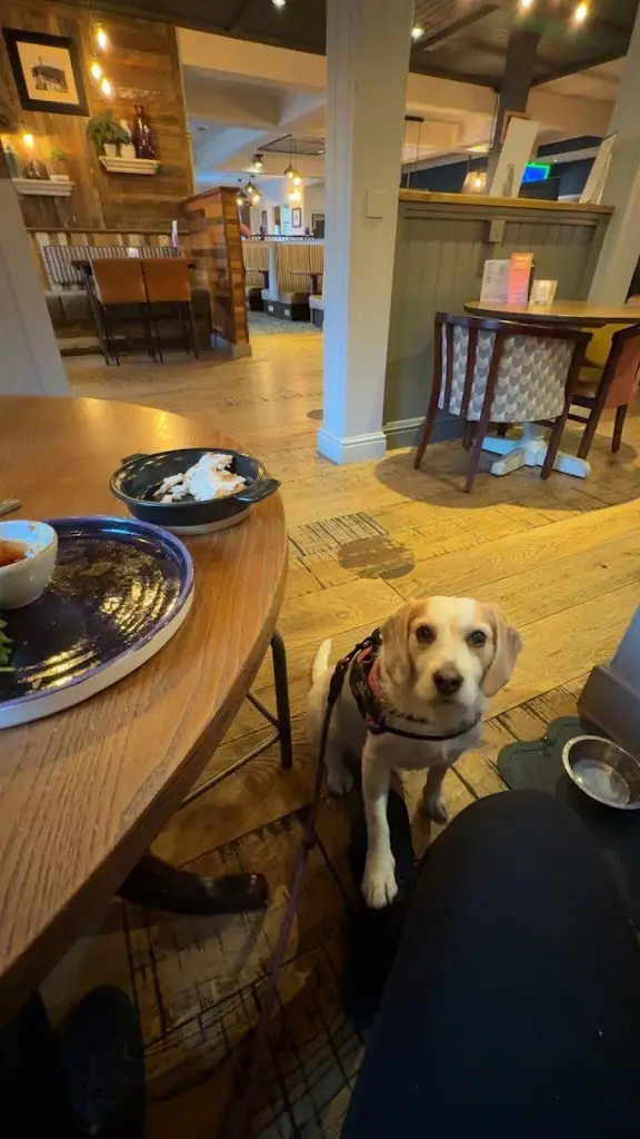 Ryan Meston_Springkerse View_Bannockburn_review