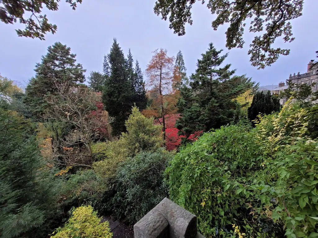 Richard Foster_Biddulph Grange Tea Room_Biddulph_review