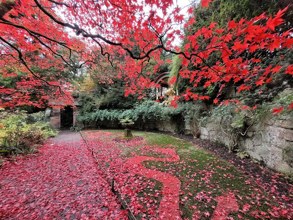 Biddulph Grange Tea Room_Biddulph_slider_image_2