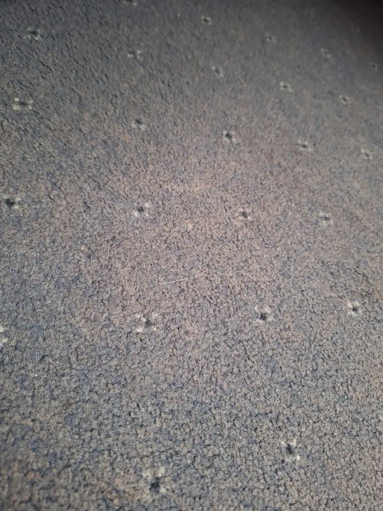 Stephanie_Sutherland Inn_Brora_review