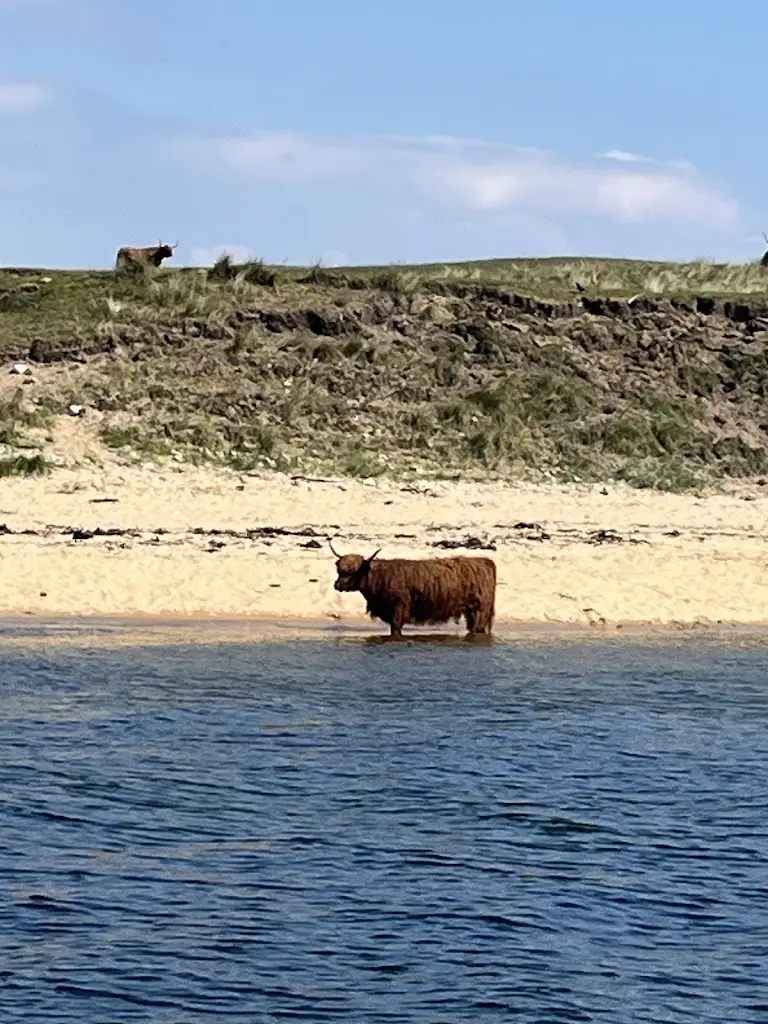 Colin Cooper_Linda's_Brora_review