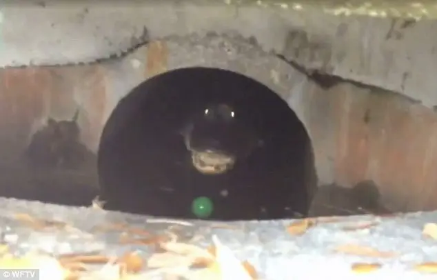 Dhillon's Bo'ness_Bo’ness_slider_image_3