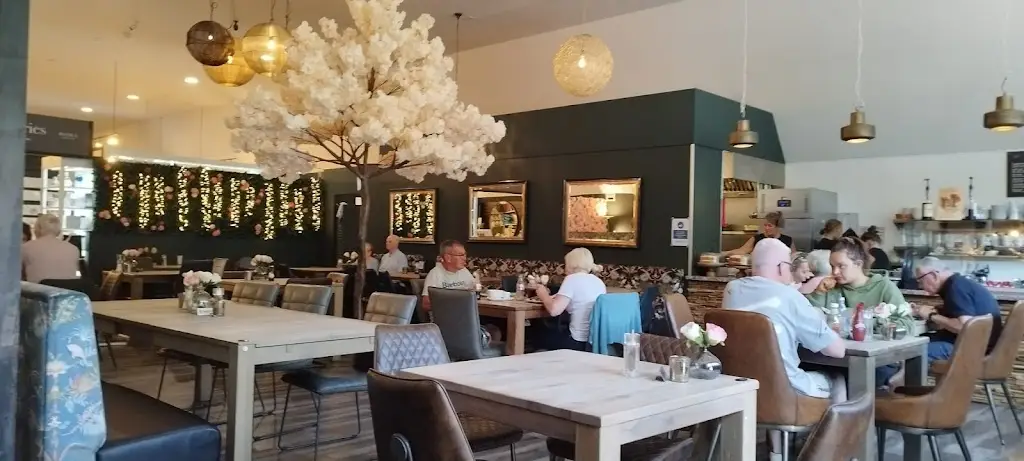 Denise Macdonald_Cafe Belgica_Bo’ness_review