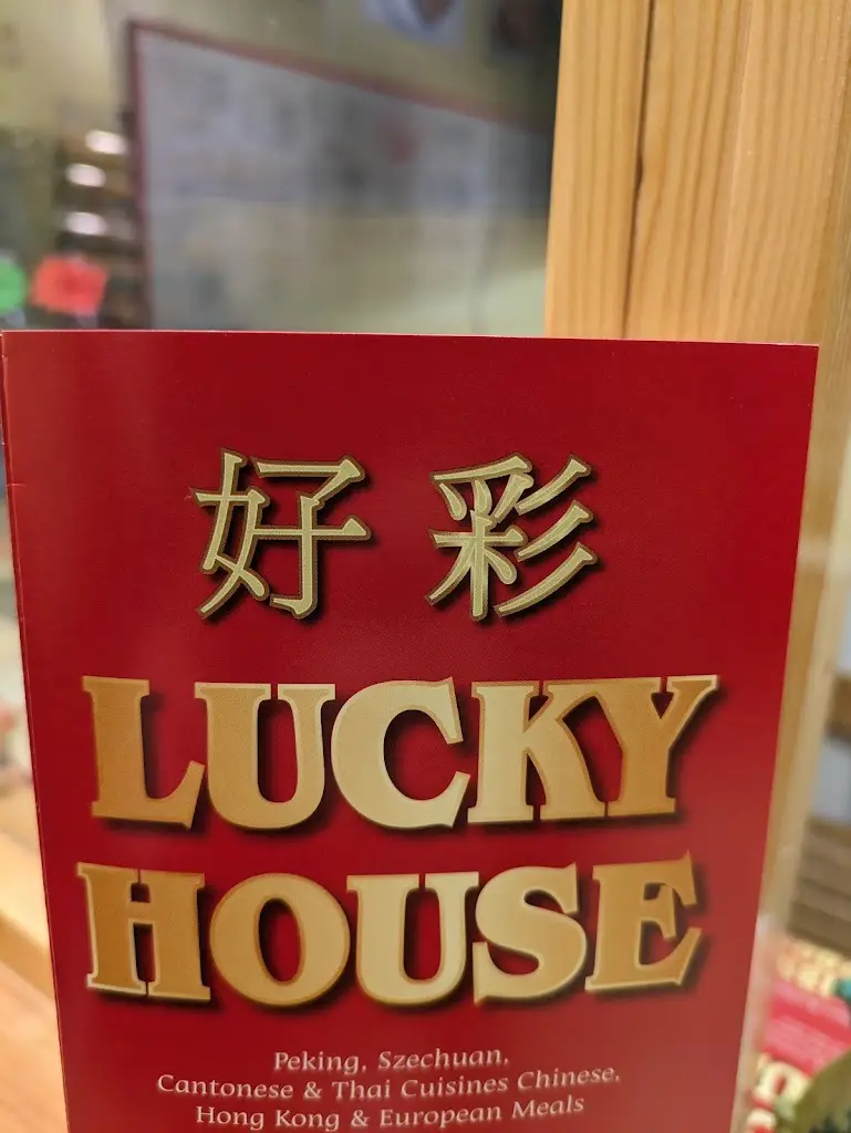 Emil Akhadov_Lucky House_Brechin_Bewertung