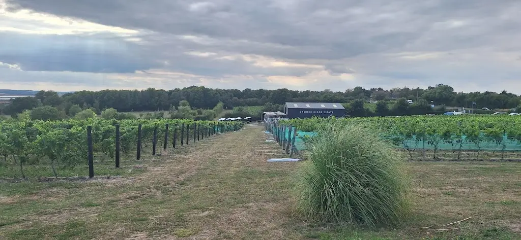 Steve Slatter_Crouch Ridge Vineyard_Althorne_review