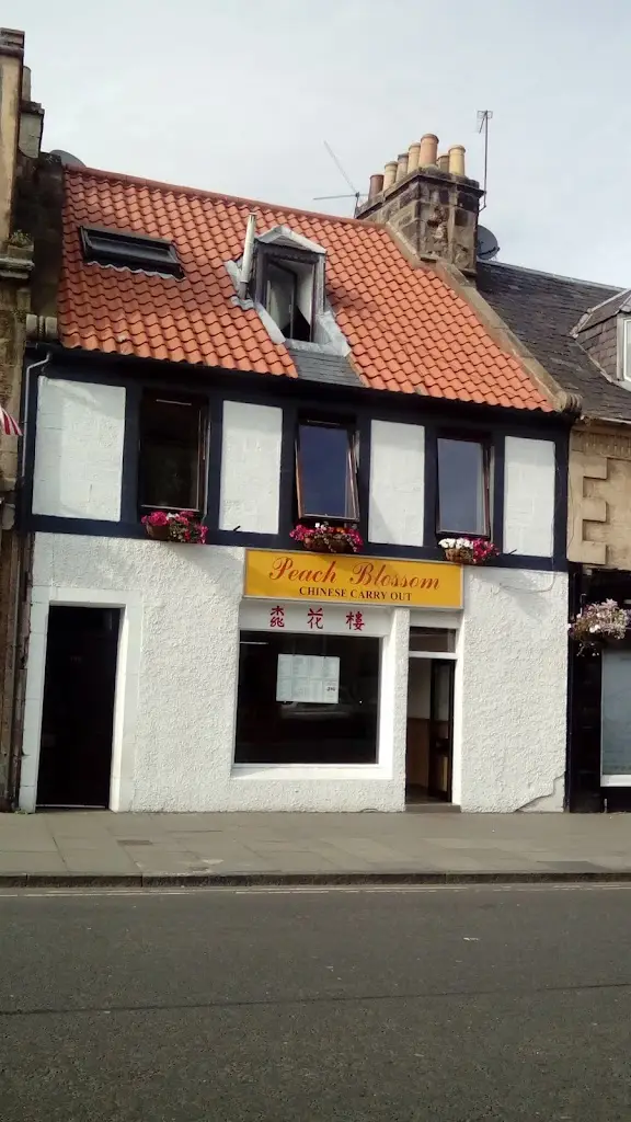 Peach Blossom Chinese Takeaway_Burntisland_slider_image_3