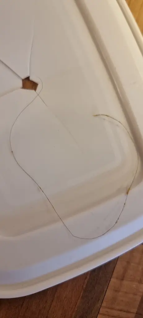 Craig Howie_Sen Lin_Carluke_review