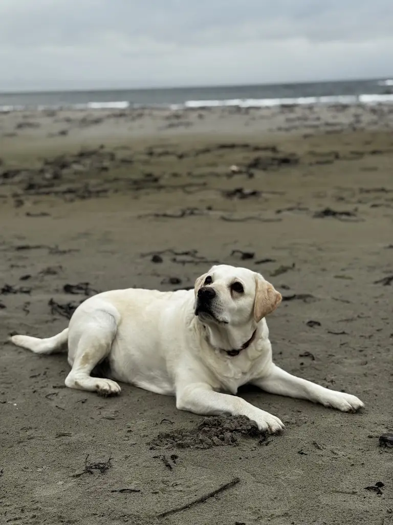 Charlene Hunter_Argyll Hotel_Campbeltown_review