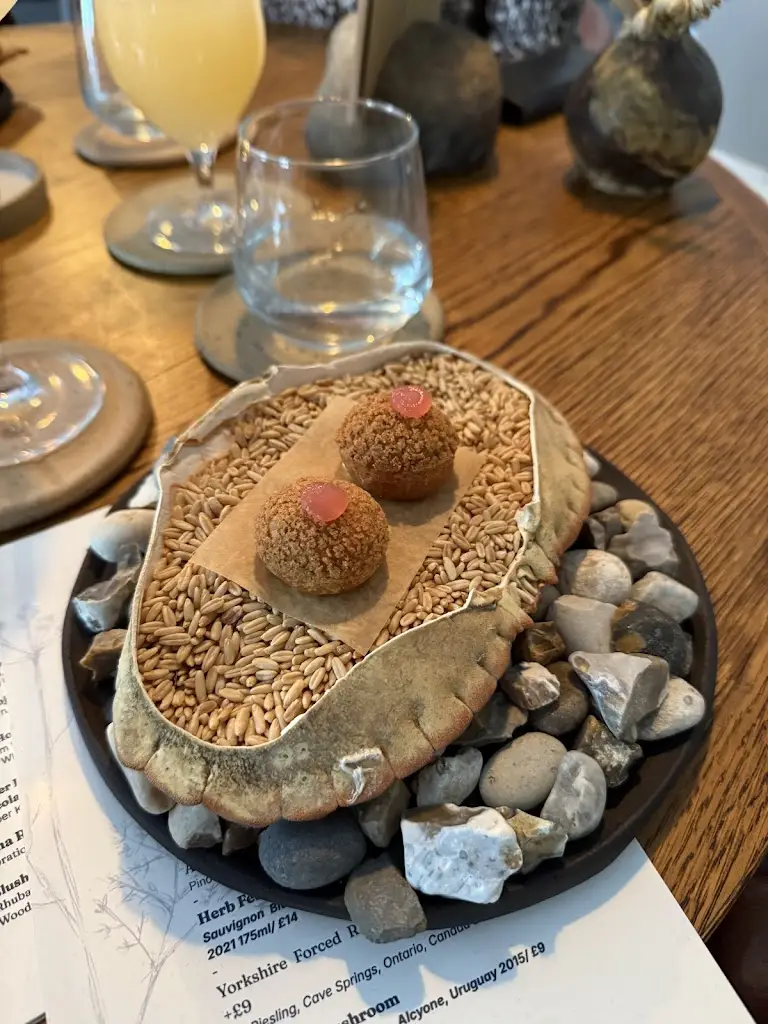 Alice S_Pignut & The Hare_Bilsdale_avis