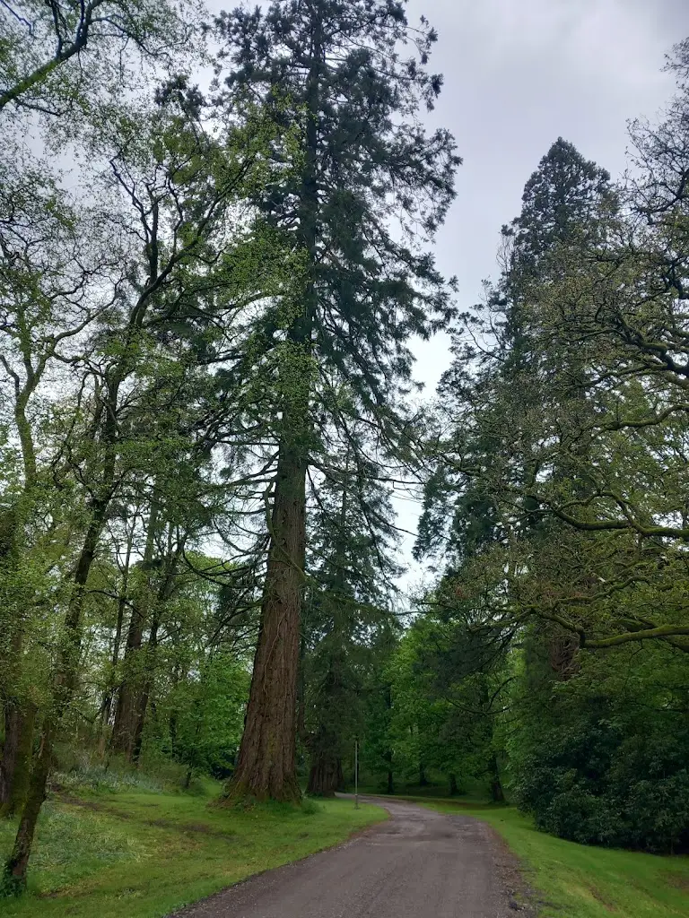 Ernespie House Restaurant and Bar_Castle Douglas_slider_image_3