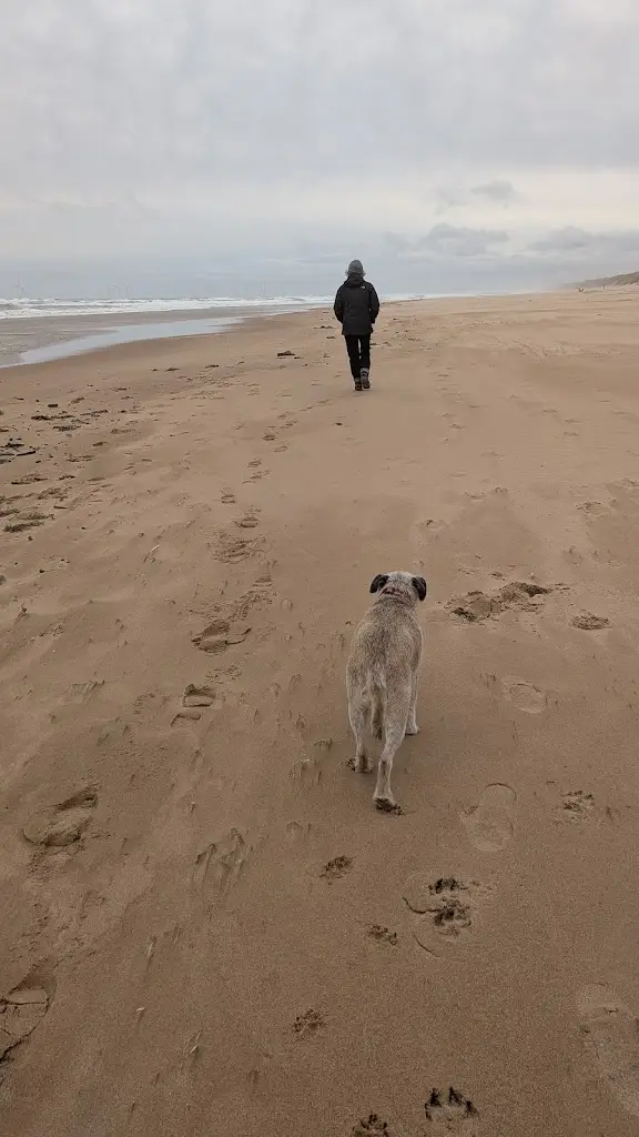 Tom Sutherland_St. Olaf Golf Hotel_Cruden Bay_review