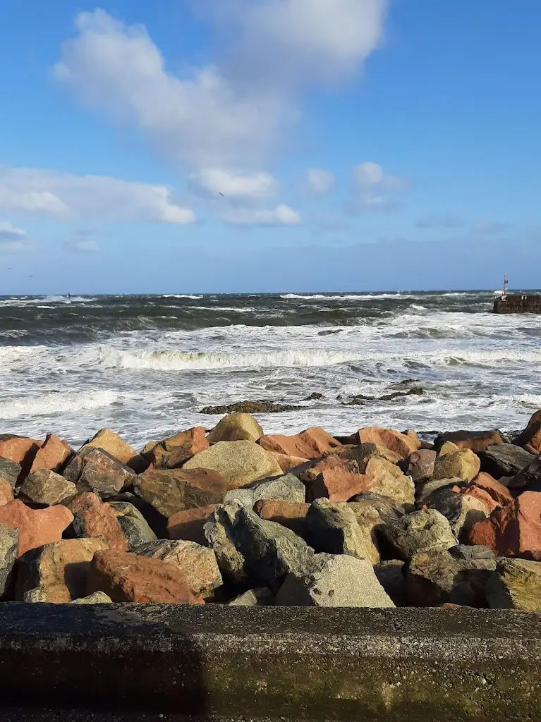 Associated Seafoods Ltd._Buckie_slider_image_1