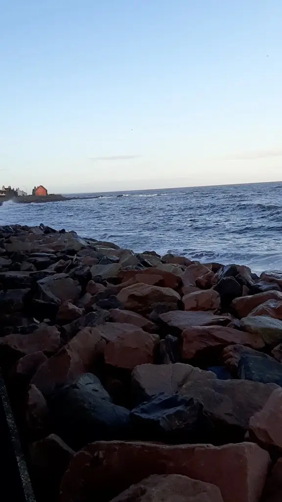 Associated Seafoods Ltd._Buckie_slider_image_2