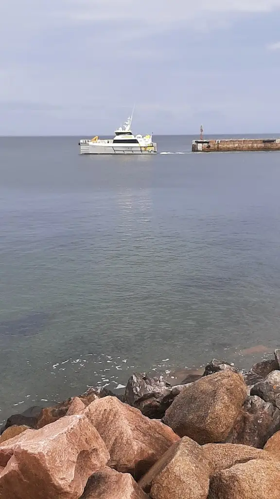 Associated Seafoods Ltd._Buckie_slider_image_3