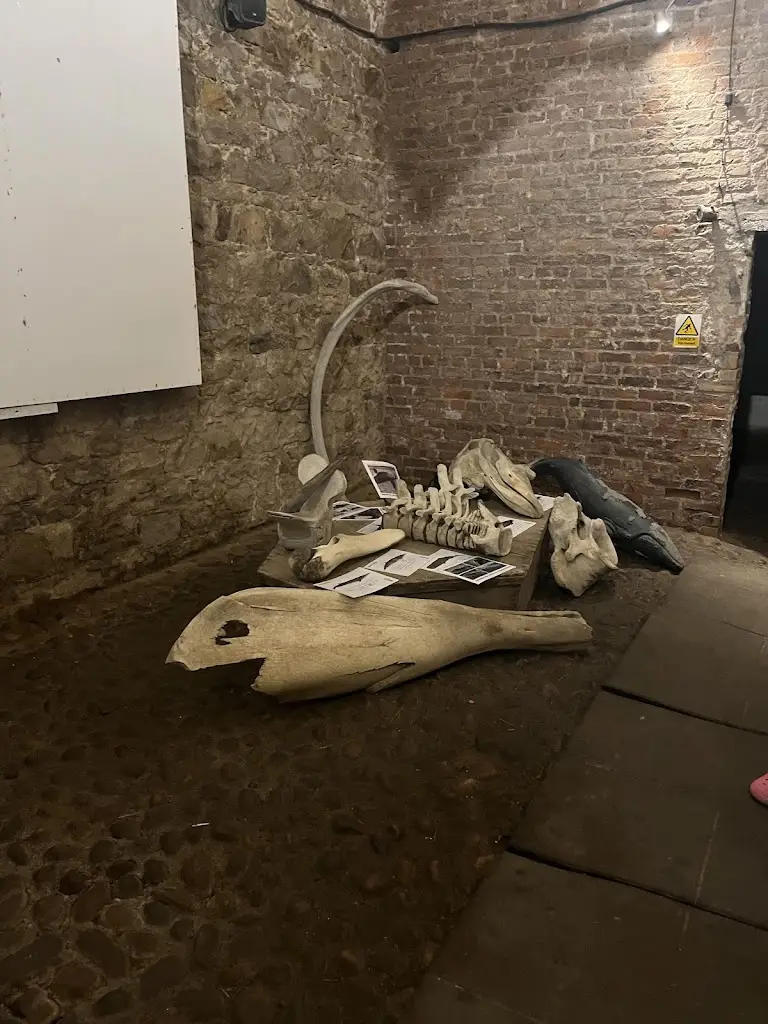 Laura Patil_WDC Scottish Dolphin Centre_Buckie_review