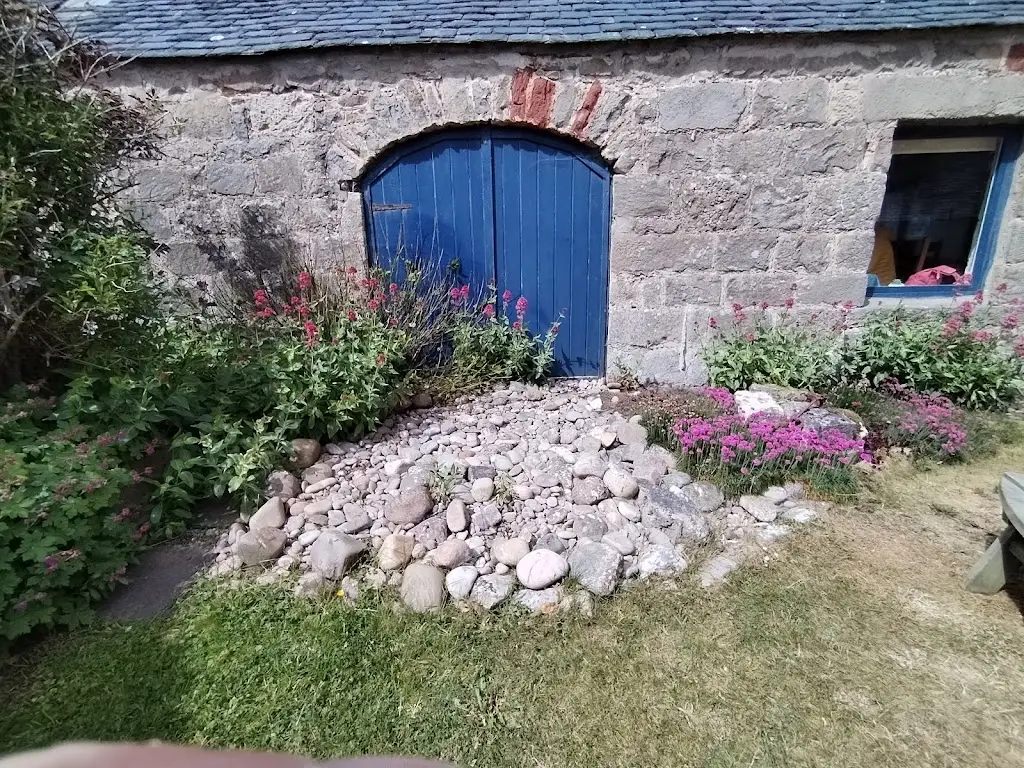 Jenny Newton_WDC Scottish Dolphin Centre_Buckie_review