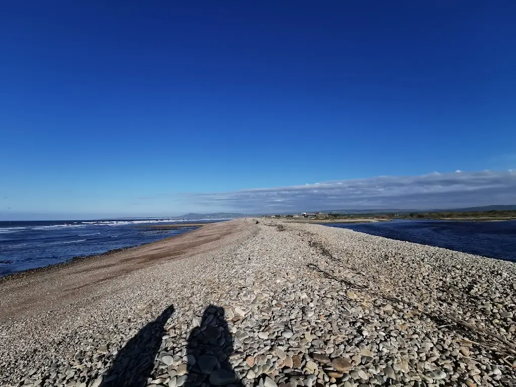 WDC Scottish Dolphin Centre_Buckie_slider_image_3