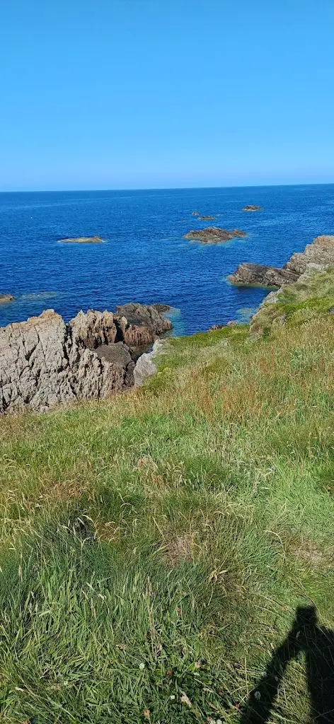 Nigel Gardner_Findochty Caravan Park_Buckie_review