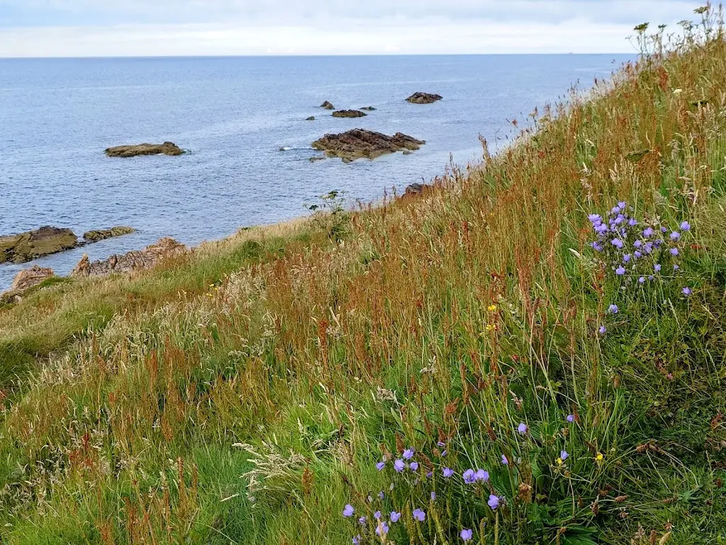 Vicky Rushin-Chape_Findochty Caravan Park_Buckie_review