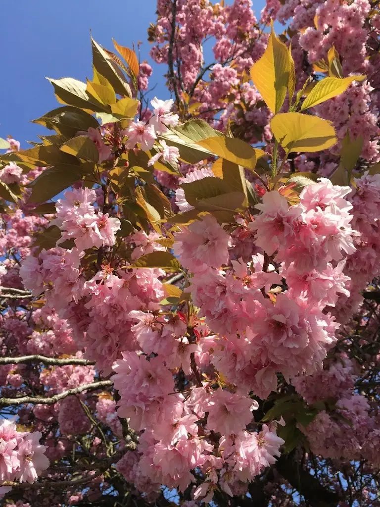 The Thai Esan_Crieff_slider_image_3