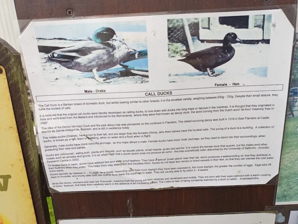 Colin Harris_Brambles Cafe_Dalbeattie_review