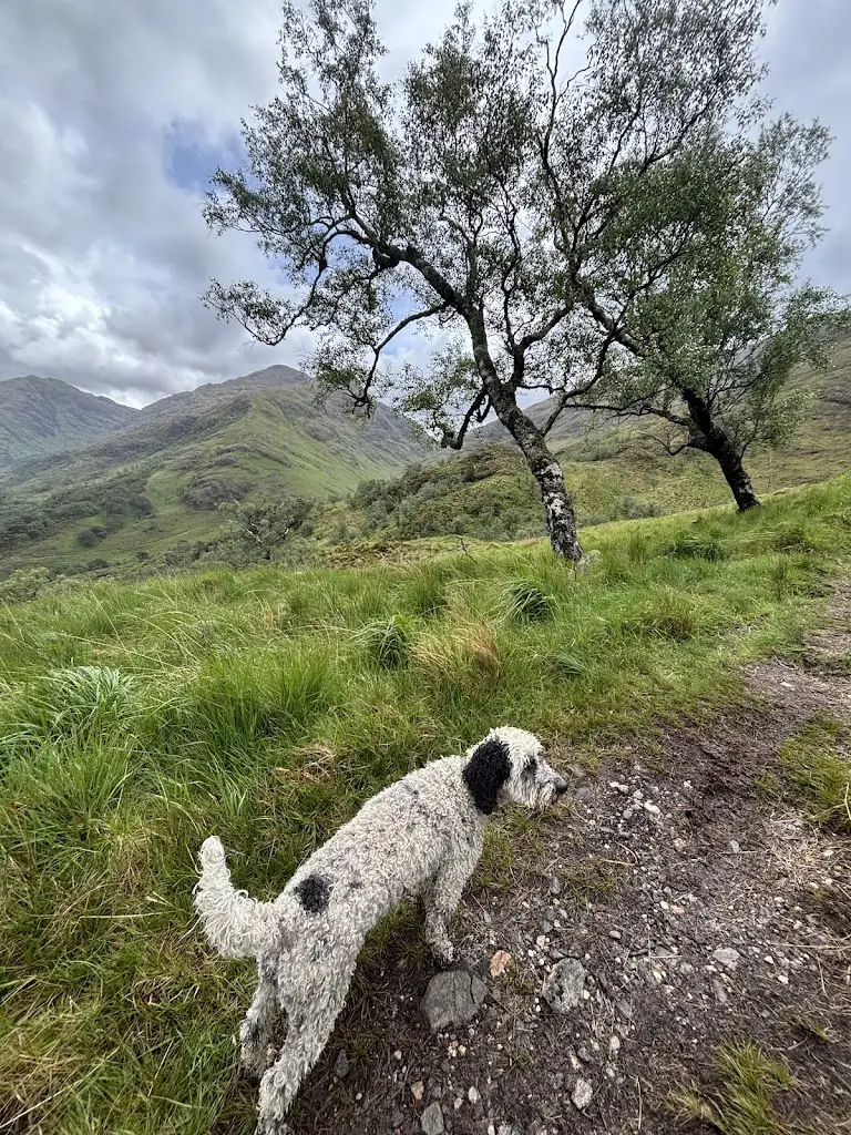 Claire Sutherland_Doune Knoydart Restaurant and Rooms_Doune_review