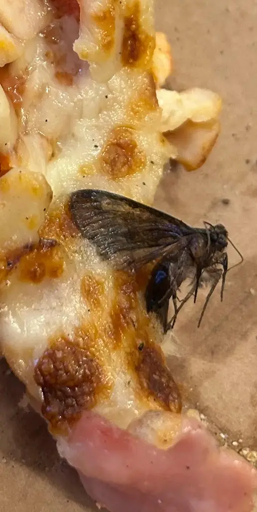 The Blazing Stone_Cowdenbeath_slider_image_2