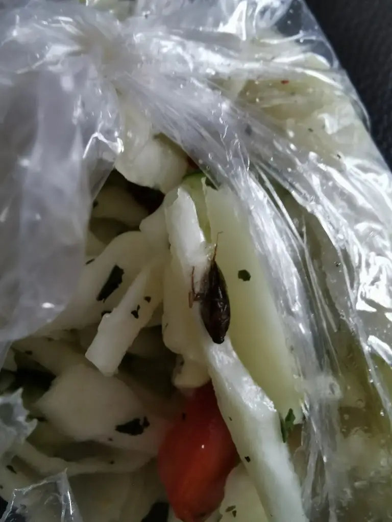 Kirsty Gorrod_Royal Tandoori_Darvel_review