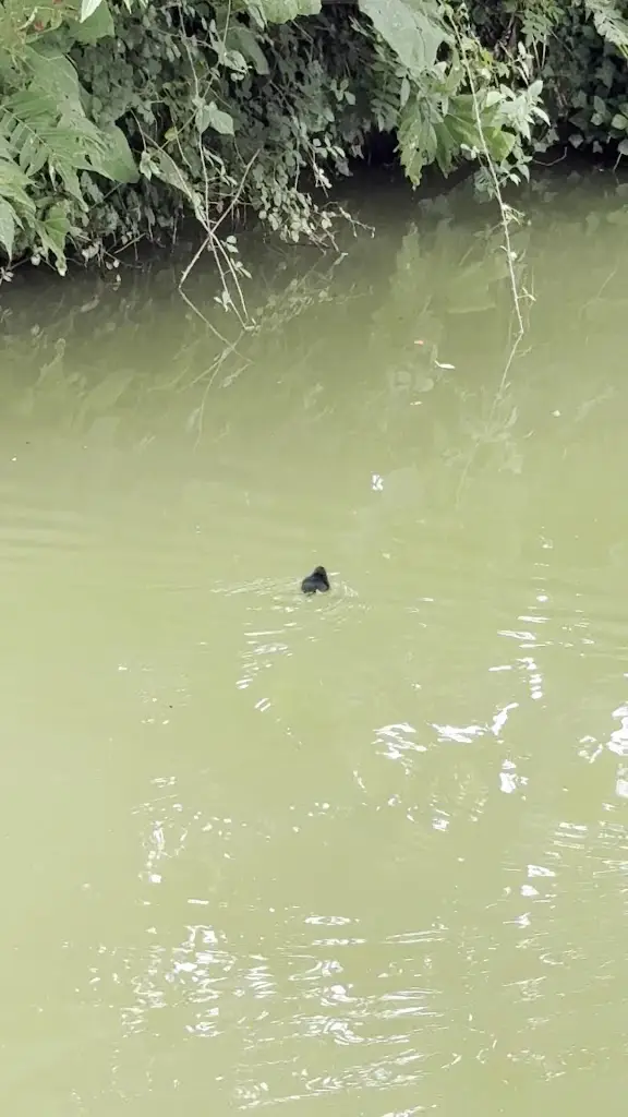 Marika Gething_The Bat and Ball Country Pub and Haywards Restaurant_Billingshurst_review