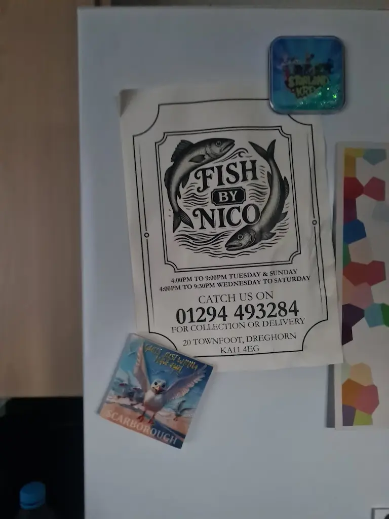 lynsey wilson_Fish by Nico_Dreghorn_review