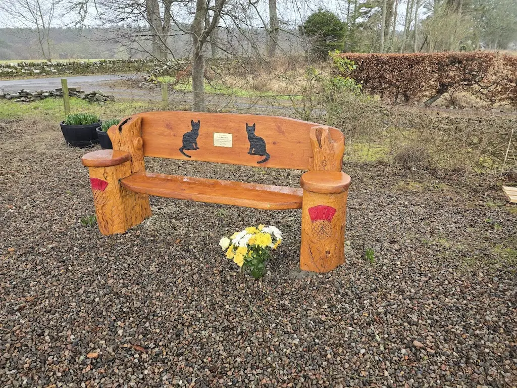 graeme harley_Tall Pines_Dornoch_review