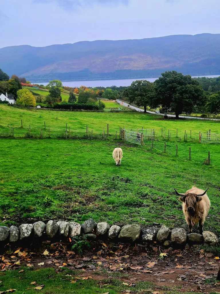 A Shay_Drumbuie Farm B & B and Quila Cridhe Tearoom_Drumnadrochit_review