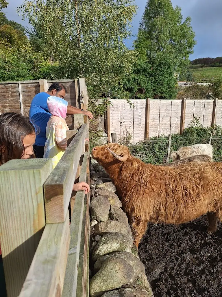 Sarah Hernandez_Drumbuie Farm B & B and Quila Cridhe Tearoom_Drumnadrochit_review