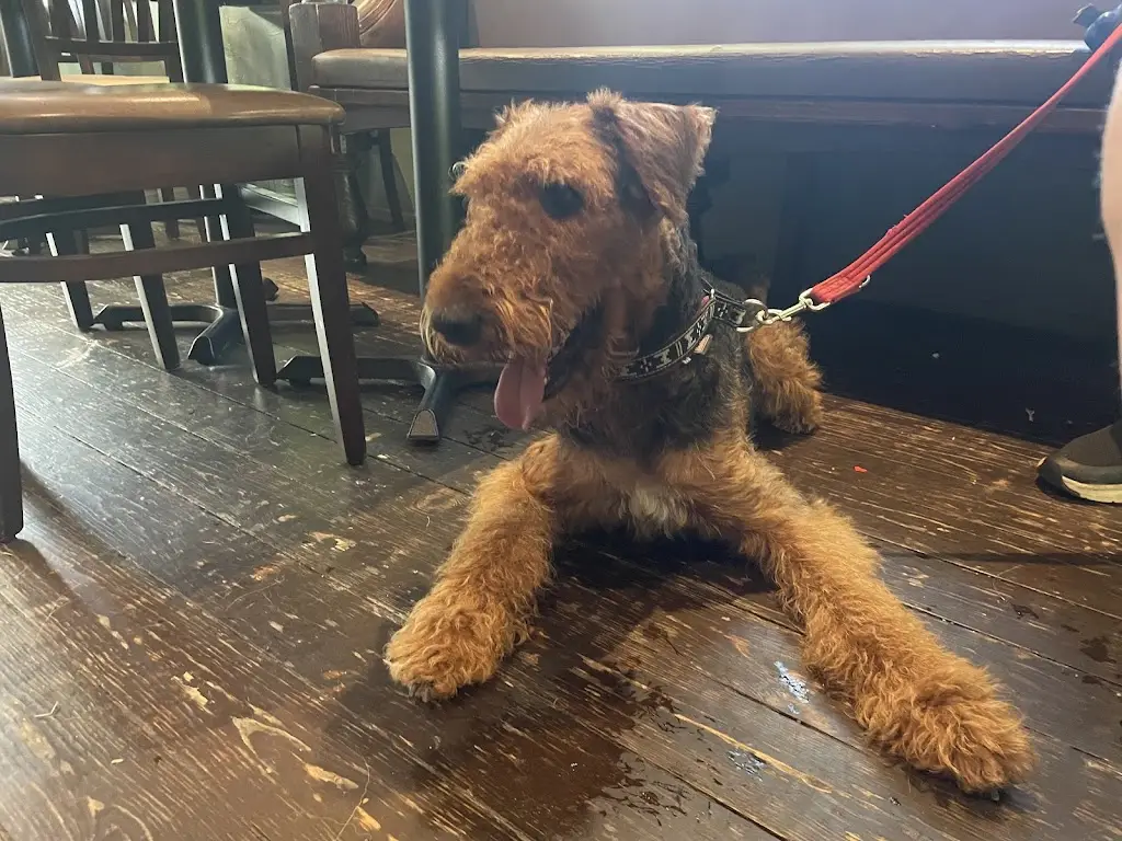 Rachael Burns_Benleva Hotel Restaurant_Drumnadrochit_review