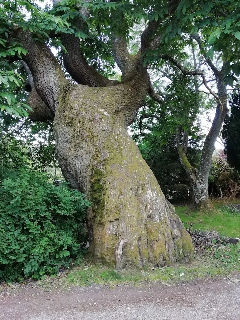 Benleva Hotel Restaurant_Drumnadrochit_slider_image_3